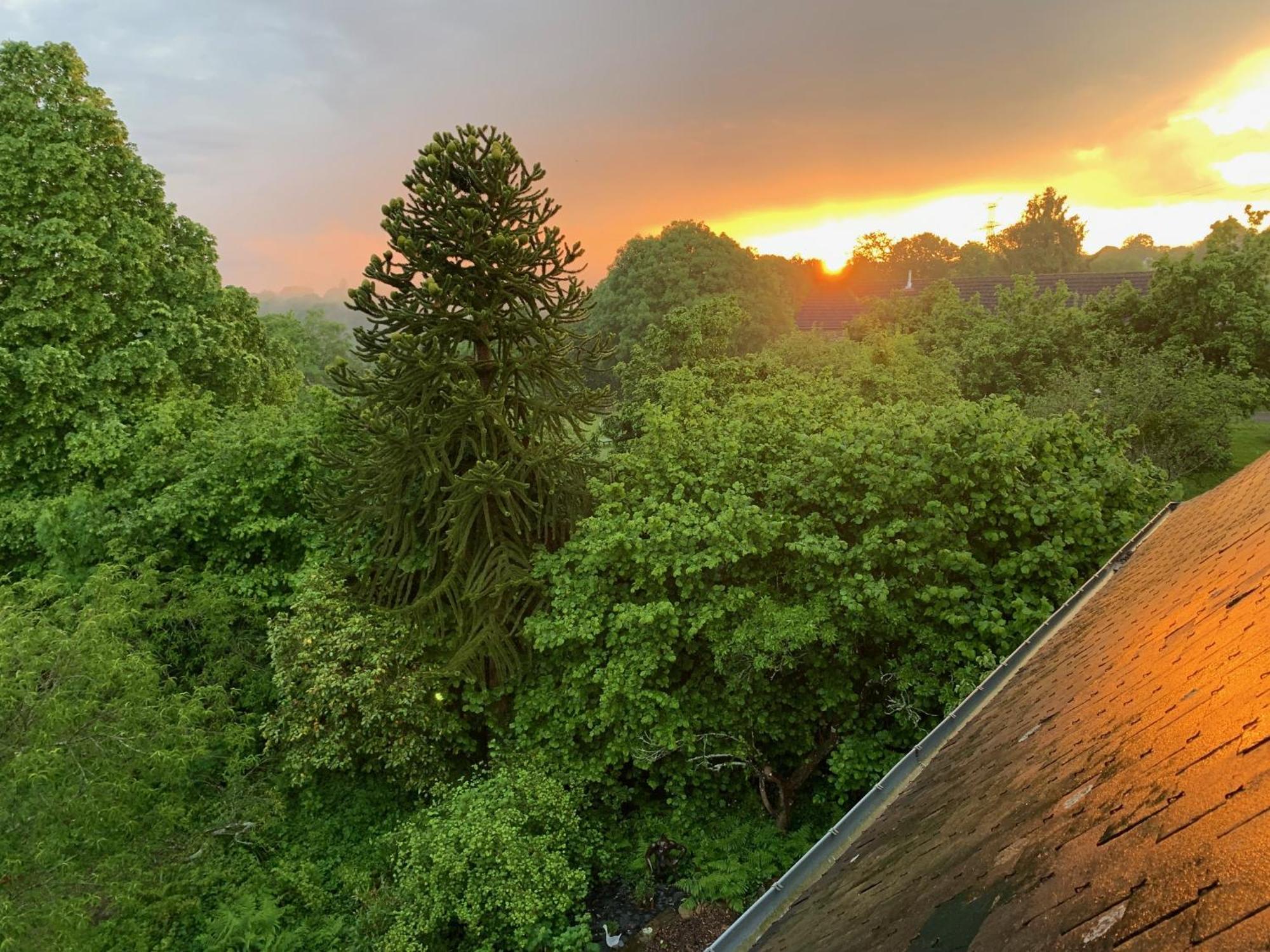 Bed and Breakfast Le Petit Manoir Isigny-le-Buat Exterior foto